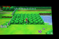 画像ギャラリー No.035のサムネイル画像 / ポケモン新作発表会詳報。「ポケットモンスター Let's GO! ピカチュウ・イーブイ」「ポケモンクエスト」に加えて,2019年後半にシリーズ完全新作をリリース