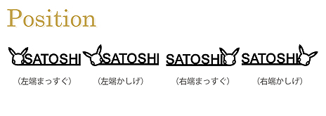 画像ギャラリー No.009のサムネイル画像 / 「ポケモン」マークと好きな文字，素材を組み合わせられるオーダーメイドネックレスが明日発売。マークはピカチュウなど19種類