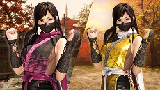 画像ギャラリー No.023のサムネイル画像 / 「DEAD OR ALIVE 6」に「NINJA GAIDEN」シリーズから「紅葉」が参戦。基本無料版で「リュウ・ハヤブサ」「あやね」の無料開放キャンペーンも