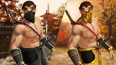 画像ギャラリー No.032のサムネイル画像 / 「DEAD OR ALIVE 6」に「NINJA GAIDEN」シリーズから「紅葉」が参戦。基本無料版で「リュウ・ハヤブサ」「あやね」の無料開放キャンペーンも