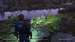 画像ギャラリー No.046のサムネイル画像 / 「Fallout 76」のβテストをレポート。オンライン専用のウェイストランドでは“懐かしくて新しい”生活が，Vault居住者を待っている