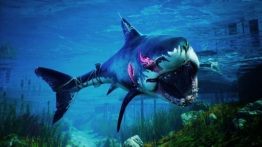 画像ギャラリー No.001のサムネイル画像 / 「Maneater」がEpic Gamesで25％オフ。母を奪われた人食いサメになって，憎き人類どもへの復讐を達成しよう