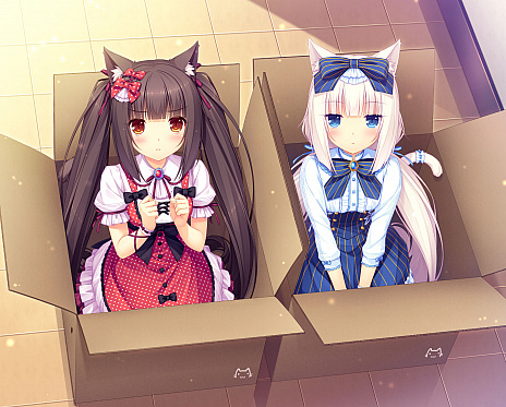 画像ギャラリー No.006のサムネイル画像 / PS4版「ネコぱらVol.1 ソレイユ開店しました!」が配信開始。ゲーム内容を紹介する公式サイトも公開に