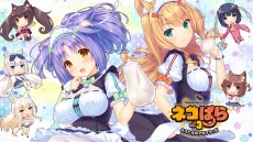 画像ギャラリー No.004のサムネイル画像 / 「ネコぱら」シリーズや「ミラクルスイーツショップ」がお得な価格に。PC/PS4/Switchを対象にした“CFK SUMMER SALE”本日開始