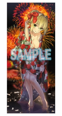 画像ギャラリー No.037のサムネイル画像 / Nintendo Switch版「Fate/EXTELLA LINK」が2019年1月31日に発売。ネロ＆玉藻の前＆アルテラの新規衣装「ふにふに衣装」3種が追加