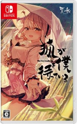 画像ギャラリー No.001のサムネイル画像 / Switch向けアドベンチャー「狐が僕を待っている The Fox Awaits Me」が本日発売。記憶を失った少年と狐耳の少女の物語