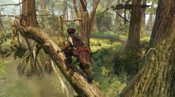 画像ギャラリー No.003のサムネイル画像 / 「アサシン クリードIII リマスター」の発売日が決定。PC/Xbox One版は3月29日,PS4/Nintendo Switch版は5月23日に発売