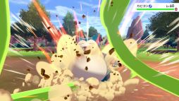画像ギャラリー No.016のサムネイル画像 / 「劇場版ポケットモンスター ココ」入場者特典の情報が追加で公開