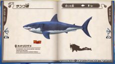 画像ギャラリー No.044のサムネイル画像 / 「釣りスピリッツ Nintendo Switchバージョン」の最新情報が公開。3つのゲームモードや新ステージ，やりこみ要素が明らかに
