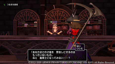 画像ギャラリー No.010のサムネイル画像 / 「ドラゴンクエストX　いばらの巫女と滅びの神　オンライン」，次回の大型アップデート“バージョン 5.4”の新情報公開。ストーリーの一部や新職業が明らかに