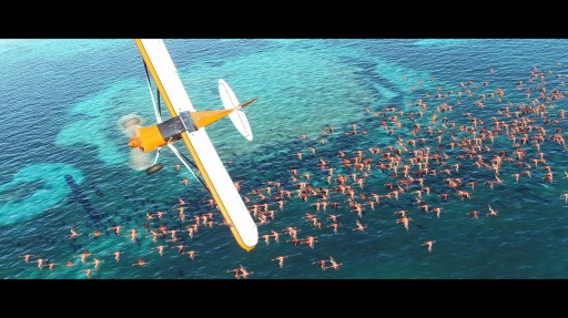 画像ギャラリー No.009のサムネイル画像 / PC版「Microsoft Flight Simulator」が本日リリース。シリーズ最新作は地球全体を3D地形モデルとして再現