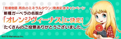 画像ギャラリー No.004のサムネイル画像 / 「牧場物語 再会のミネラルタウン」，新たな結婚候補4人の情報が公開。新種ガーベラの名前が決定