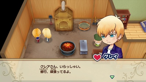 画像ギャラリー No.011のサムネイル画像 / 「牧場物語 再会のミネラルタウン」，新たな結婚候補4人の情報が公開。新種ガーベラの名前が決定