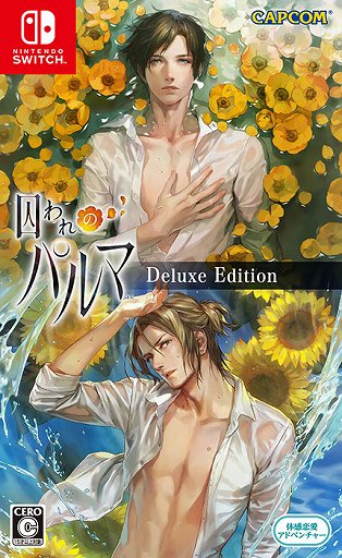 画像ギャラリー No.002のサムネイル画像 / Switch版「囚われのパルマ」,横須賀市とのコラボを記念してセールを実施