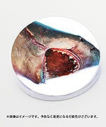 画像ギャラリー No.002のサムネイル画像 / サメゲー「Maneater」,PS4/PS5版パッケージの店舗別オリジナル特典が公開
