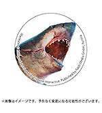 画像ギャラリー No.003のサムネイル画像 / サメゲー「Maneater」,PS4/PS5版パッケージの店舗別オリジナル特典が公開