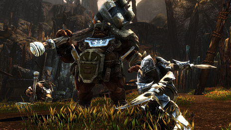 画像ギャラリー No.003のサムネイル画像 / 「Kingdoms of Amalur: Re-Reckoning」の9月8日リリースと新DLCが発表。PC,PS4,Xbox One向けでいずれも日本語対応