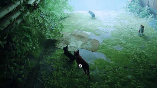 画像ギャラリー No.002のサムネイル画像 / 「Stray」は，猫が可愛いだけのゲームではない。“猫としてさまよい，人として思考する”感覚，寓話的な世界観と表現が素晴らしいアドベンチャーだ