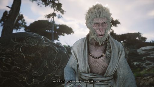 画像ギャラリー No.006のサムネイル画像 / 「黒神話：悟空」を遊ぶなら孫悟空の軌跡を知るべし！　衝撃のプロローグにいたる西遊記での物語と，覚えておきたい用語を解説するの巻【PR】