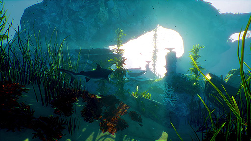 画像ギャラリー No.003のサムネイル画像 / “ShARkPG”と銘打ったサメゲー「Maneater」（PS5/PS4）の日本語版が本日発売。発売記念のRTキャンペーンや動画コンテストも開催中