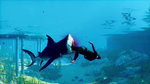 画像ギャラリー No.004のサムネイル画像 / “ShARkPG”と銘打ったサメゲー「Maneater」（PS5/PS4）の日本語版が本日発売。発売記念のRTキャンペーンや動画コンテストも開催中