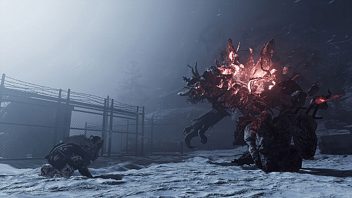 画像ギャラリー No.006のサムネイル画像 / PS4用ソフト「Fade to Silence」が本日配信。極寒の世界で寒さや不気味なモンスターと戦いながら生き延びるサバイバルADV