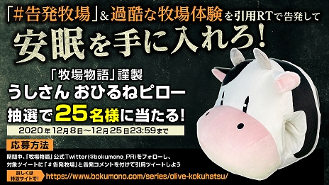 画像ギャラリー No.008のサムネイル画像 / 「牧場物語 オリーブタウンと希望の大地」,素材を使ってさまざまな物を作れる“クラフト”と,隣町“オリーブタウン”の情報が公開