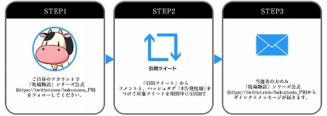 画像ギャラリー No.009のサムネイル画像 / 「牧場物語 オリーブタウンと希望の大地」,素材を使ってさまざまな物を作れる“クラフト”と,隣町“オリーブタウン”の情報が公開