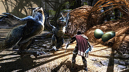 画像ギャラリー No.008のサムネイル画像 / Switch版「Kingdoms of Amalur: Re-Reckoning」が本日発売。戦争で引き裂かれた世界を旅するオープンワールドRPG