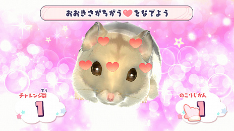 画像ギャラリー No.004のサムネイル画像 / Switch向けハムスター育成シミュレーション「じゃんがりあん物語」の公式サイトがオープン