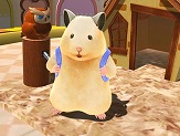 画像ギャラリー No.002のサムネイル画像 / Switch「じゃんがりあん物語」が本日発売。妖精から託されたハムスターを育成して“ハムマスター”を目指す育成シミュレーション