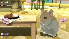 画像ギャラリー No.005のサムネイル画像 / Switch「じゃんがりあん物語」が本日発売。妖精から託されたハムスターを育成して“ハムマスター”を目指す育成シミュレーション