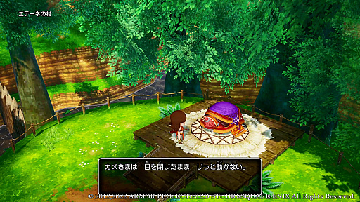 画像ギャラリー No.013のサムネイル画像 / 「ドラゴンクエストX　目覚めし五つの種族　オフライン」，ゲーム冒頭の物語や，出会うキャラクター達の新情報公開
