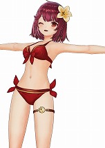 画像ギャラリー No.016のサムネイル画像 / 「ソフィーのアトリエ2 〜不思議な夢の錬金術士〜」DL版の予約がスタート。予約特典や早期購入特典，Digital Deluxe版の情報が明らかに