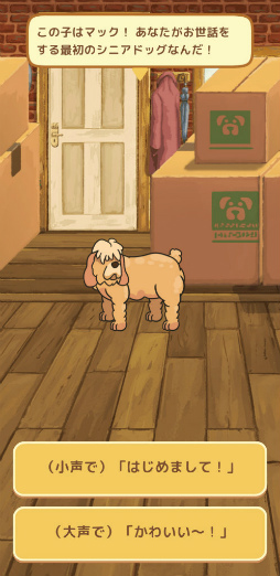 画像ギャラリー No.002のサムネイル画像 / 老犬とは人生における親友だ。「オールドフレンズ・ドッグゲーム」が見せた，老犬ホームでの健やかな毎日