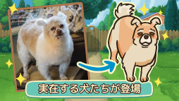 画像ギャラリー No.015のサムネイル画像 / 老犬とは人生における親友だ。「オールドフレンズ・ドッグゲーム」が見せた，老犬ホームでの健やかな毎日