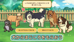 画像ギャラリー No.018のサムネイル画像 / 老犬とは人生における親友だ。「オールドフレンズ・ドッグゲーム」が見せた，老犬ホームでの健やかな毎日
