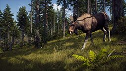画像ギャラリー No.005のサムネイル画像 / PC版「Way of the Hunter」がアップデート,更新内容も公開に