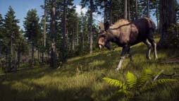 画像ギャラリー No.005のサムネイル画像 / 「Way of the Hunter」,アップデート版(Version 1.17)配信開始。更新内容を公開