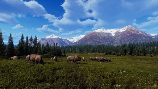 画像ギャラリー No.002のサムネイル画像 / 狩猟シム「Way of the Hunter」の無料DLC“Aurora Shores”が近日リリース。最新トレイラーが公開に