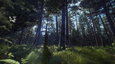 画像ギャラリー No.005のサムネイル画像 / 「Way of the Hunter」の大型DLC「オーロラ ショアーズ」が本日配信に。最新アップデートVersion 1.22も登場