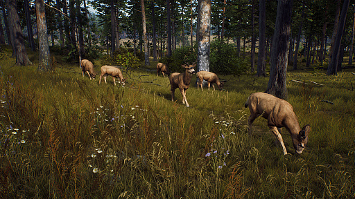 画像ギャラリー No.002のサムネイル画像 / オープンワールド型ハンティングゲーム「Way of the Hunter」のPS5/Xbox Series X版は8月16日,PC版は8月17日に発売決定