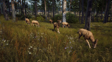 画像ギャラリー No.003のサムネイル画像 / ハンティングゲーム「Way of the Hunter」，動物紹介トレイラー第2弾を公開。美しい自然の中で暮らすアカシカやシャモアなどの姿が確認できる