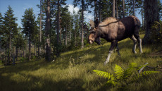 画像ギャラリー No.006のサムネイル画像 / ハンティングゲーム「Way of the Hunter」，動物紹介トレイラー第2弾を公開。美しい自然の中で暮らすアカシカやシャモアなどの姿が確認できる