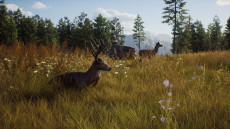 画像ギャラリー No.008のサムネイル画像 / ハンティングゲーム「Way of the Hunter」，動物紹介トレイラー第2弾を公開。美しい自然の中で暮らすアカシカやシャモアなどの姿が確認できる