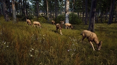 画像ギャラリー No.002のサムネイル画像 / 「Way of the Hunter」美しい風景の中で狩りをするゲームプレイトレイラーを公開
