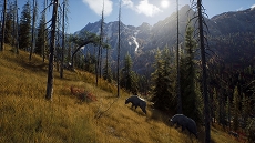 画像ギャラリー No.006のサムネイル画像 / 「Way of the Hunter」美しい風景の中で狩りをするゲームプレイトレイラーを公開