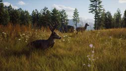 画像ギャラリー No.006のサムネイル画像 / PS5「Way of the Hunter ウェイ オブ ザ ハンター」パッケージ版,本日発売