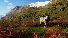 画像ギャラリー No.007のサムネイル画像 / 「Way of the Hunter」,無料大型DLC“オーロラショアーズ”の配信日を2月23日に決定。登場する動物たちを確認できるトレイラーが公開