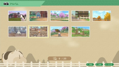 画像ギャラリー No.017のサムネイル画像 / 「牧場物語 Welcome！ワンダフルライフ」新たなお祭りイベントや新道具“カメラ”が登場。わすれ谷に追加される新要素を公開